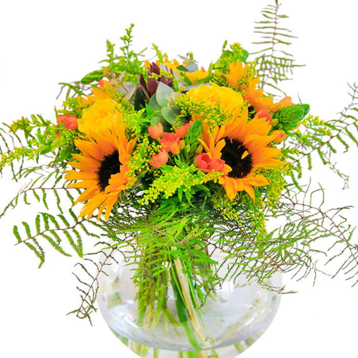 The bouquet makes an immediate impression-bright, joyful, and tastefully composed, mirroring the spirited landscapes of Longford. Dominant sunflowers with large, glowing heads and dark, textured centers stand proudly, their petals unfurling in a celebration of light. Among them, lush yellow garden roses form compact, sumptuous curls that convey luxury and a touch of tradition, as seen in the stately homes near Longford. Shining red Hypericum berries dot the arrangement, providing an eye-catching accent that catches the heart like vibrant wild fruit in local meadows. Layered behind, fresh fern fronds cascade softly, while sprigs of goldenrod or similar filler sweep upwards and outwards in delicate motions, adding depth and structure. Eucalyptus accents lend a subtle silver-green hue and a clean, airy scent that recalls Longford's breezy mornings. Each stem is cradled by a round glass vase, the water within glinting in the light and highlighting the lush greenery's paths. The bouquet exudes a sense of happy celebration-suitable for birthdays, anniversaries, or to deliver a piece of Longford's relaxed, countryside atmosphere into city interiors. Every element is curated with care by Longford Florist, showing a true passion for local floristry.