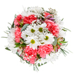 Brimming with the sense of new beginnings and gentle happiness, this bouquet is a floral celebration expertly composed by Longford Florist for the Longford community. At the arrangement's heart lie gleaming white daisies, their golden-lime centers imparting a feeling of innocence and purity, surrounded by opulent, coral-pink carnations whose ruffled petals offer warmth and visual interest. Clusters of baby's breath appear throughout, like tiny stars scattered across a night sky, heightening the design's airy lightness. Among the blossoms, unopened alstroemeria buds reveal hints of purple and blush, introducing delicate detail and the anticipation of future blooms. All of this is cradled by a varied base of eucalyptus and dark green foliage, lending both fragrance and a touch of woodland calm. The overall effect is both soothing and light-spirited, ideal for conveying congratulations, gratitude, or simply brightening a kitchen table along Bath Road. Reflecting the artistry and friendly spirit unique to Longford, this bouquet is as perfect for special occasions as it is for those "just because" moments shared with neighbours and loved ones.